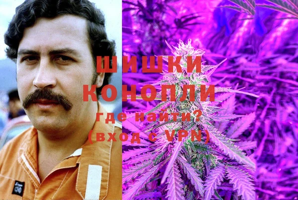 гидра Богородск