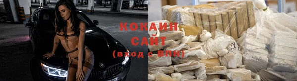 мдпв Богданович
