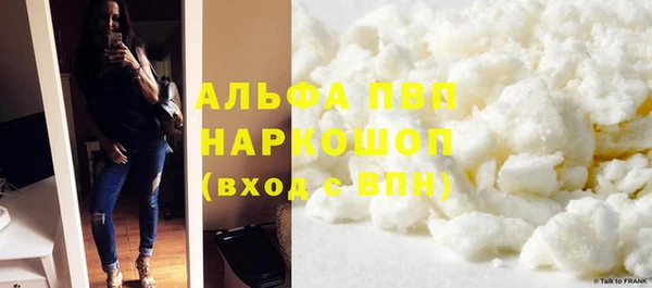 гидра Богородск