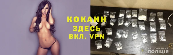 гидра Богородск