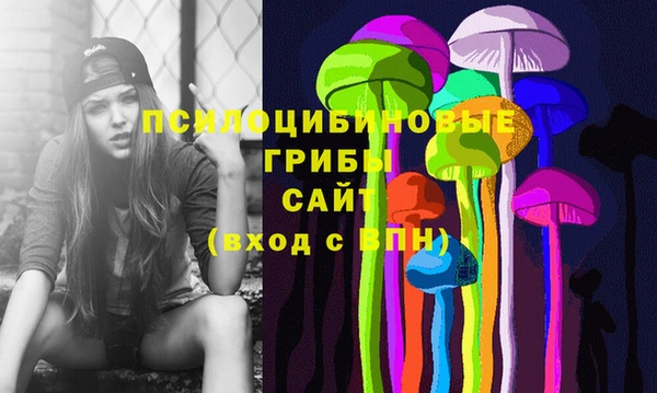 гидра Богородск