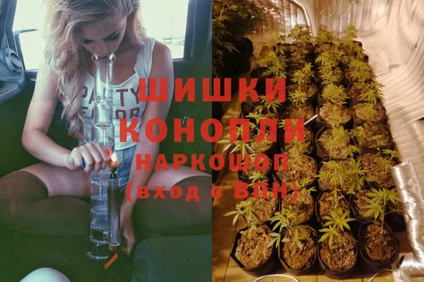 гидра Богородск