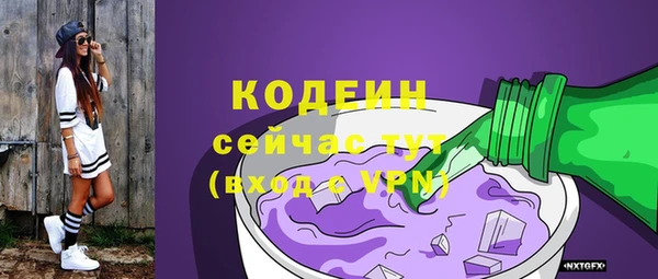 гидра Богородск